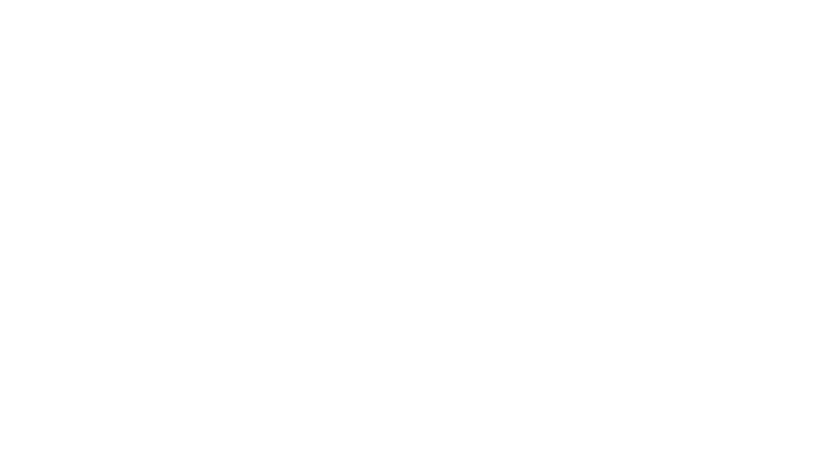 ROYFPV